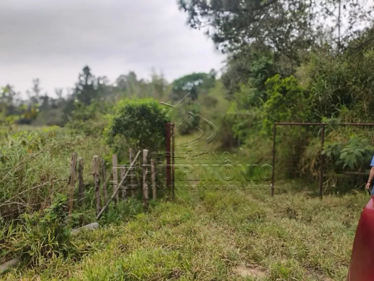 ÁREA, Bairro Caputera - Foto 2