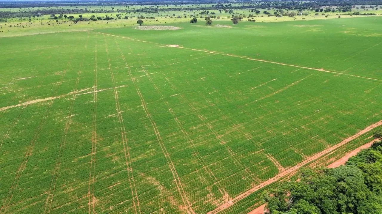 Fazenda a venda, em Nova Crixas - Goias! - Foto 5