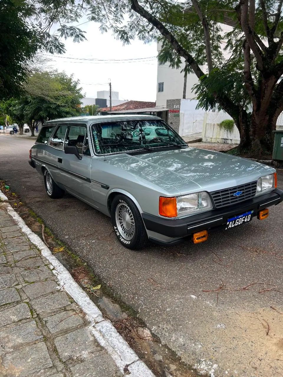Chevrolet Caravan L/sl/s/ss 2.5/4.1/4.2 1989