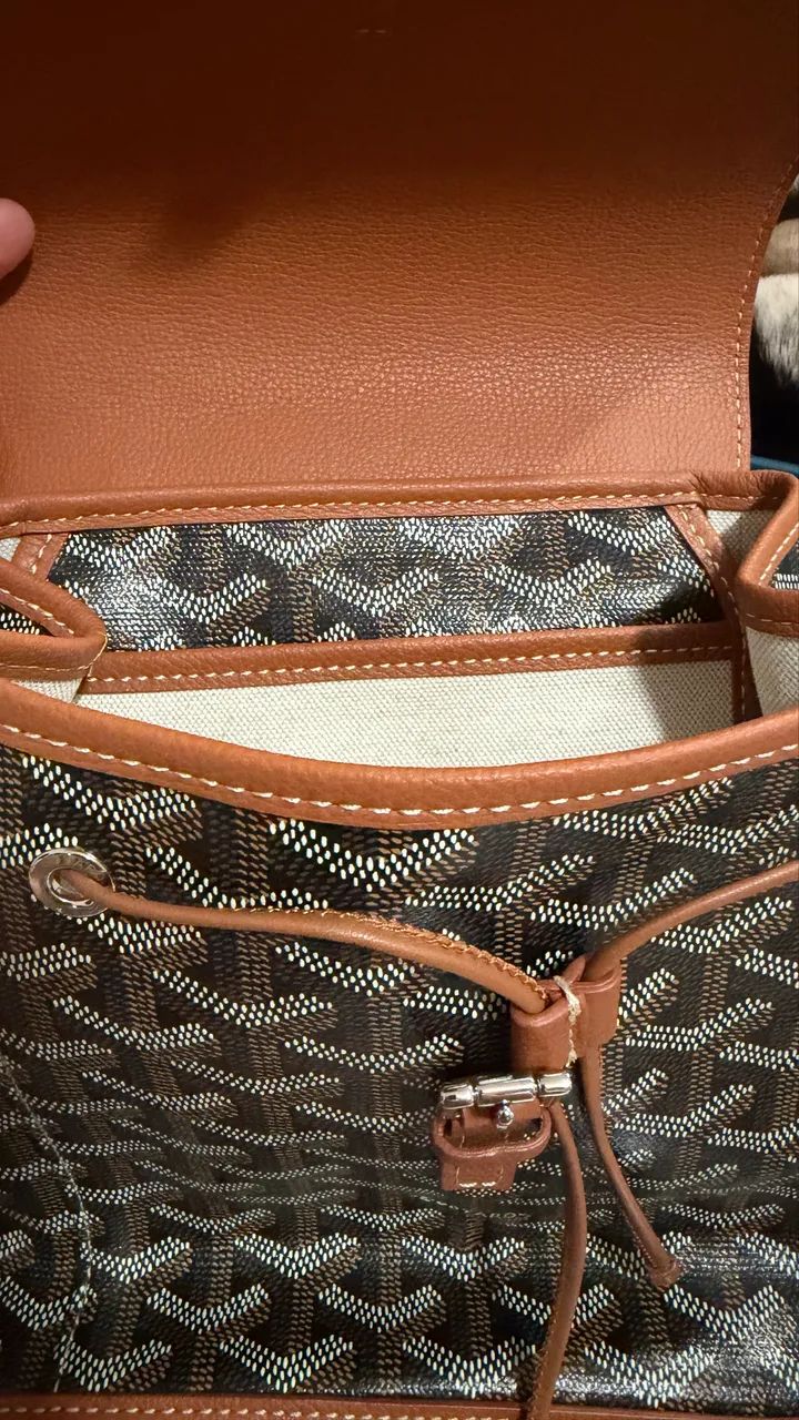 Goyard Alpin Mini Backpack - Foto 5