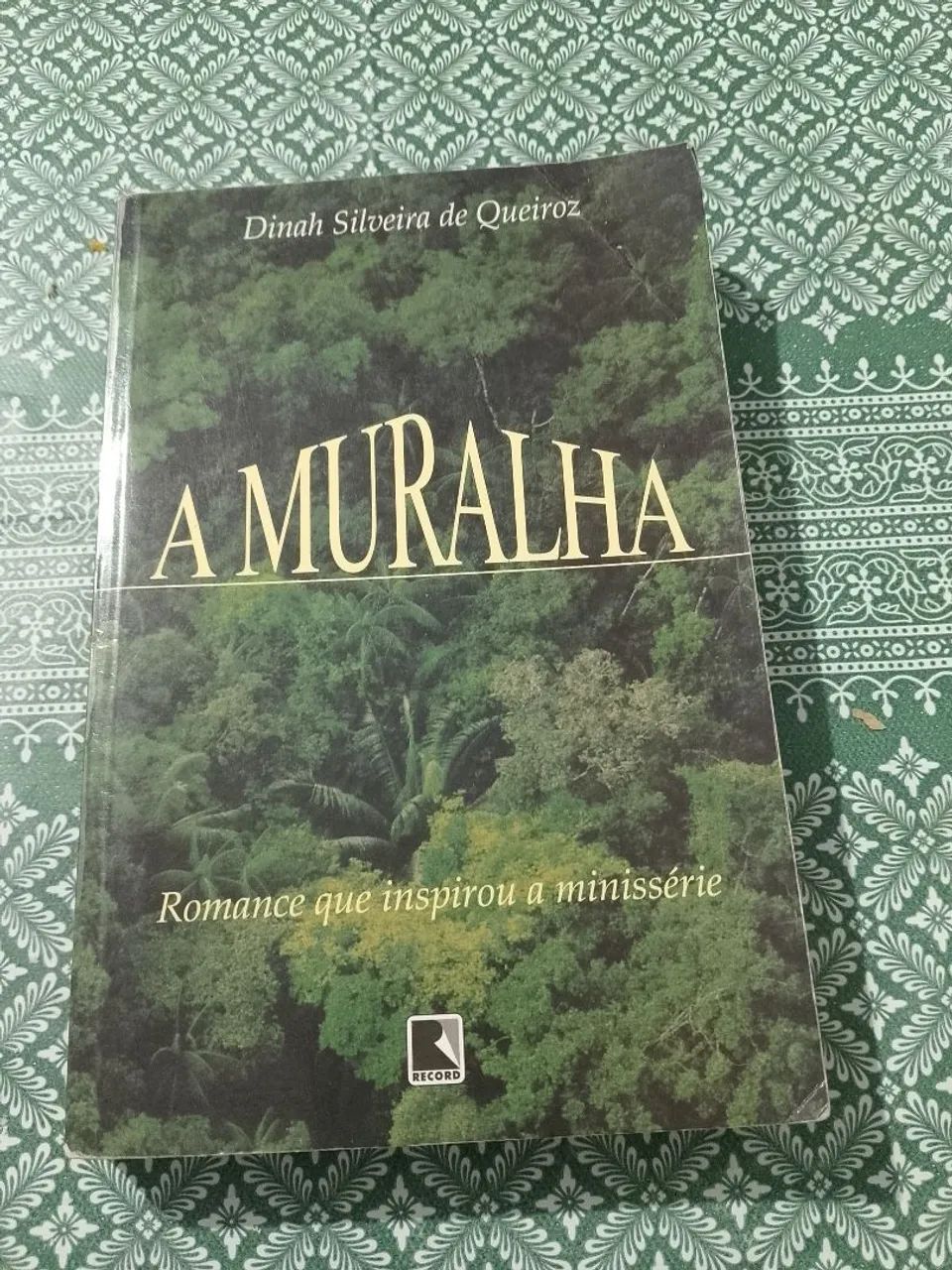 Livro Amuralha 