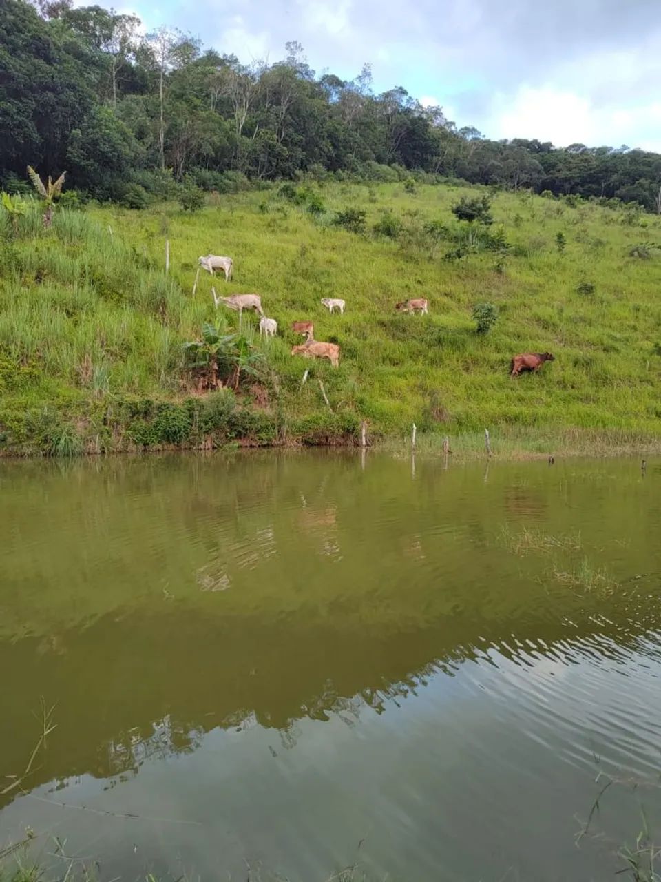 SÍTIO À VENDA EM MIRACATU/SP - Foto 3