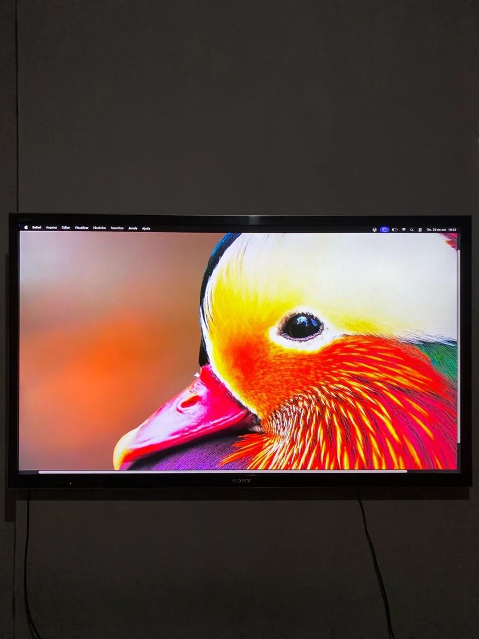 TV Sony 55 - LED Full HD