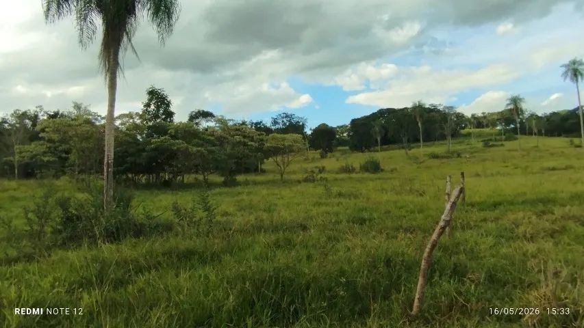 Chácara 15 hectares  - Foto 4