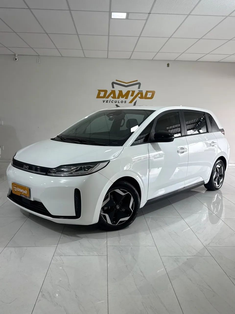 BYD D1 D1 EV (Elétrico) 2023