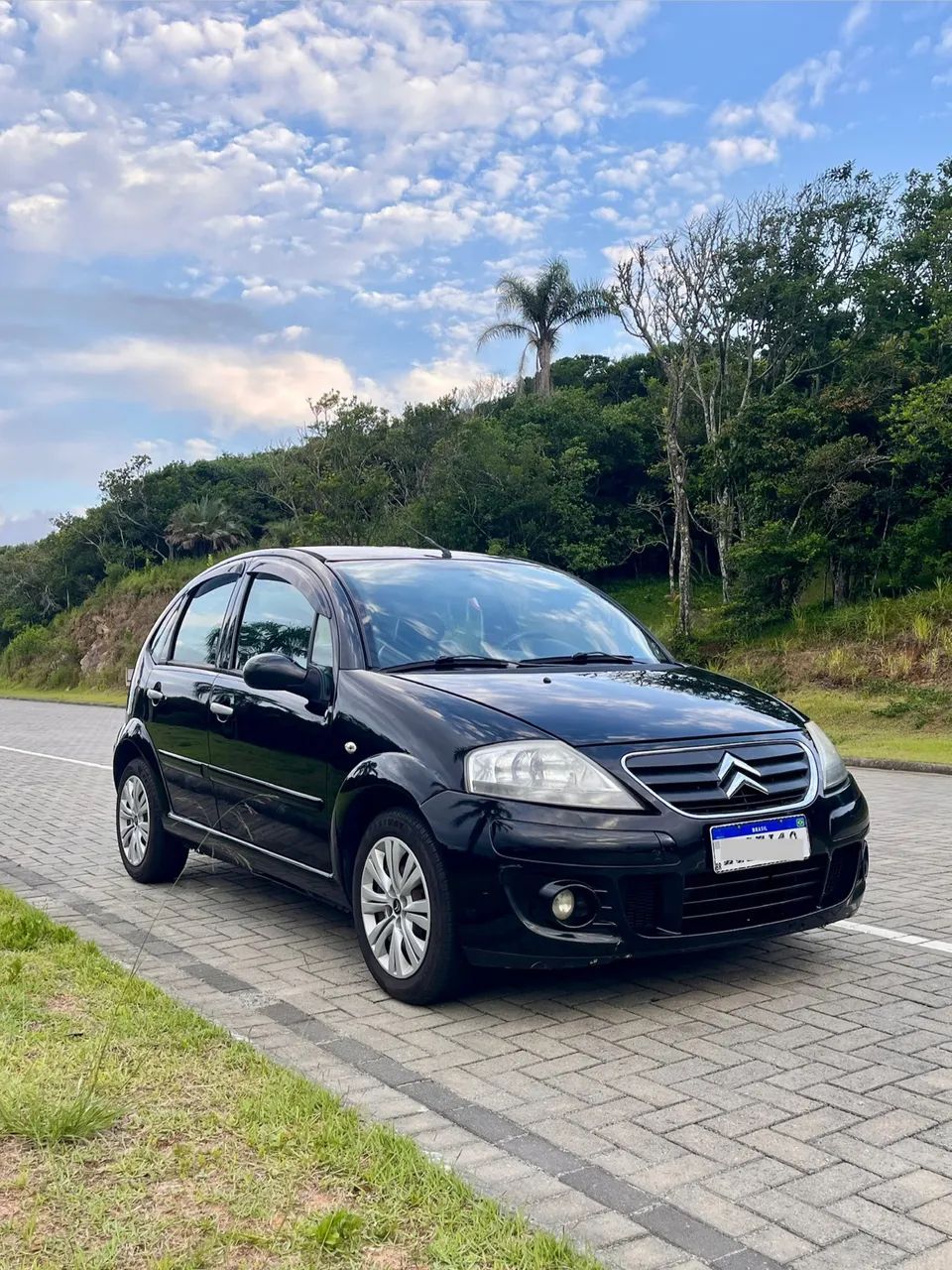 Citroen C3 Exclusive 1.4 Flex 8V 5P 2010