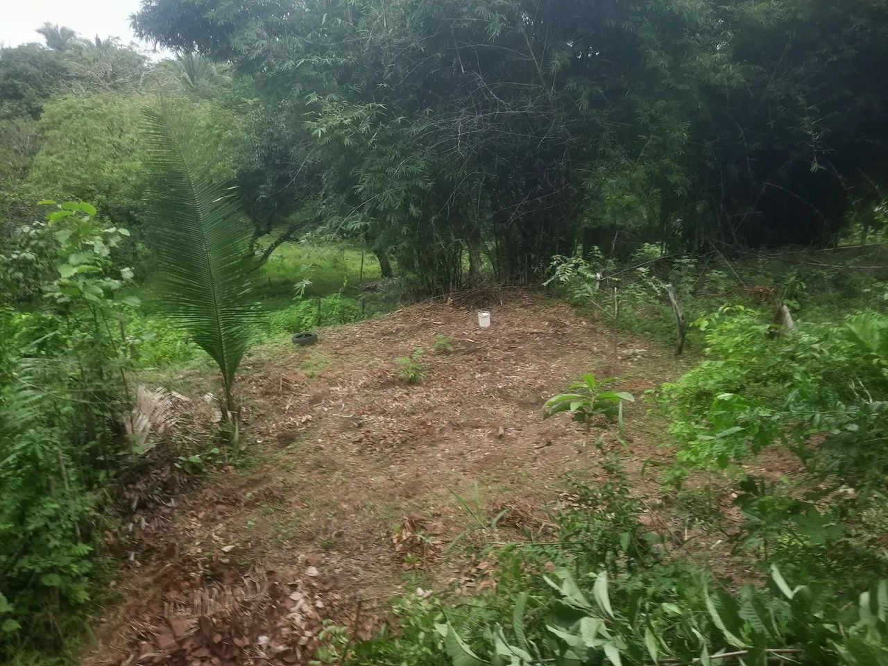 10×25 - Foto 4