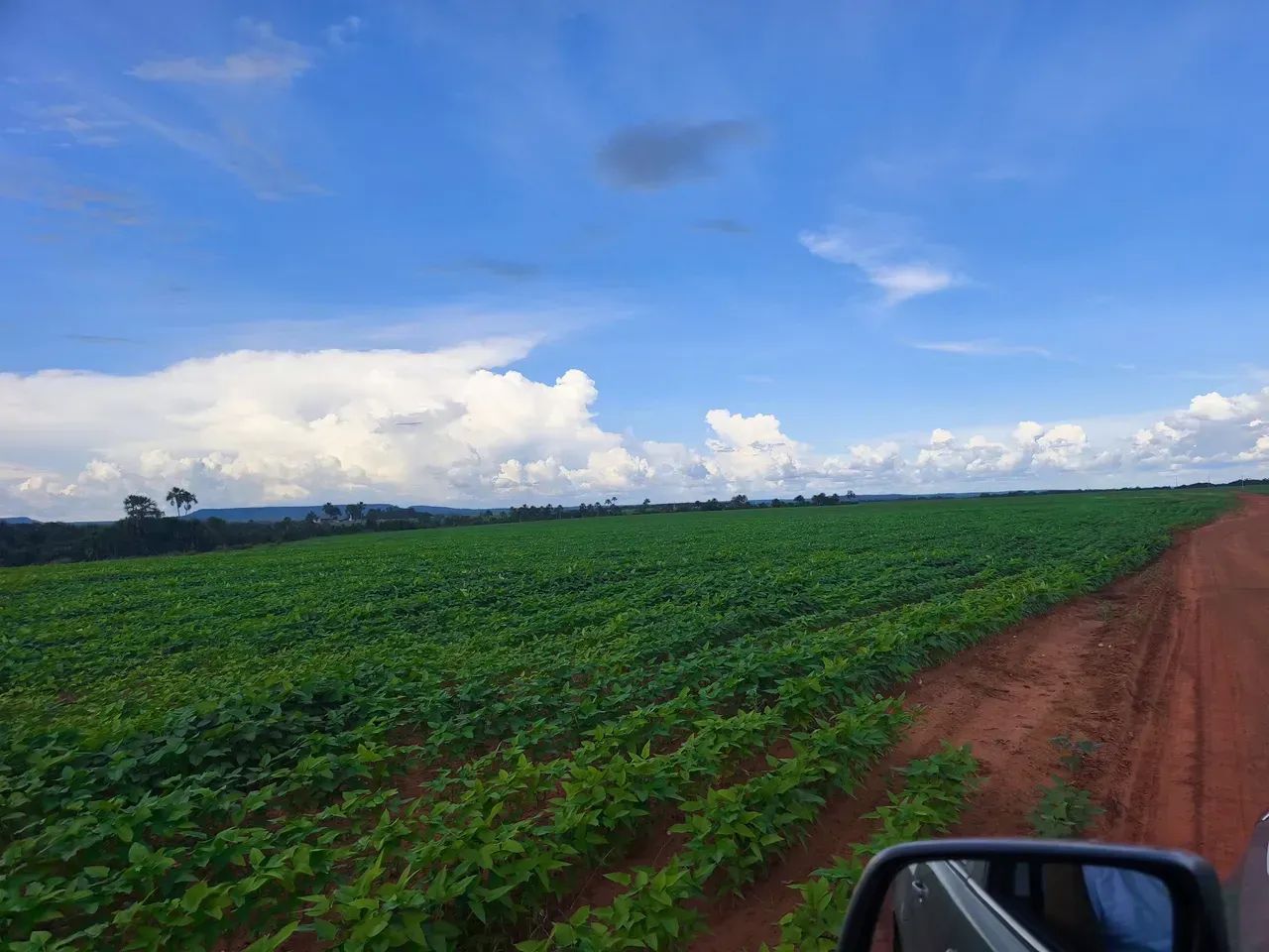 Fazendaa venda, Barra do Ouro - Tocantins! - Foto 2