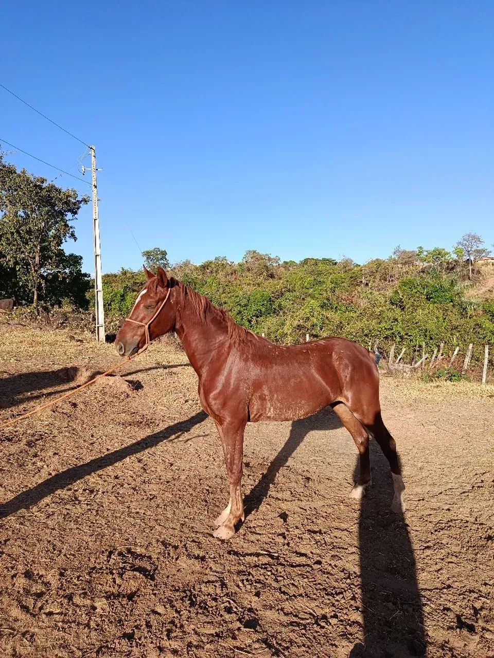 vendo ou troco  - Foto 2