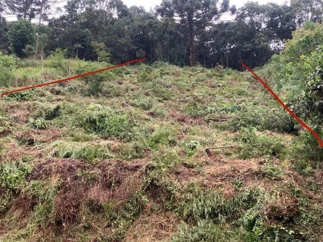 Terreno rural a venda - Foto 2