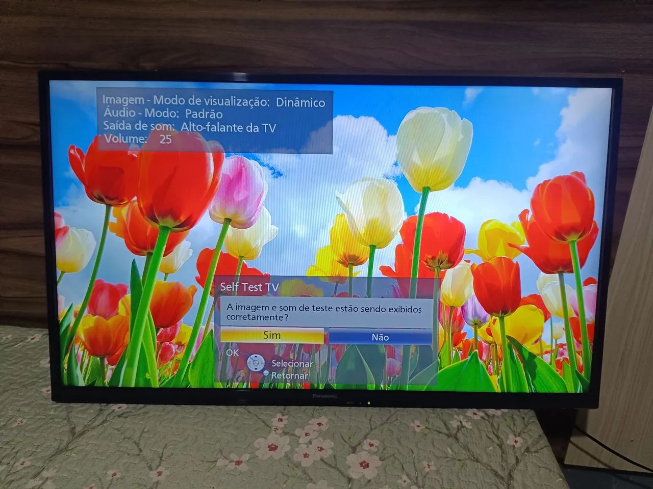 Tv Panasonic 39 polegadas( Não é smart) Ganha um suporte fixo pra colocar atrás da TV - Foto 3