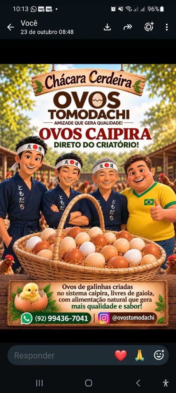 Vendo ovos caipira