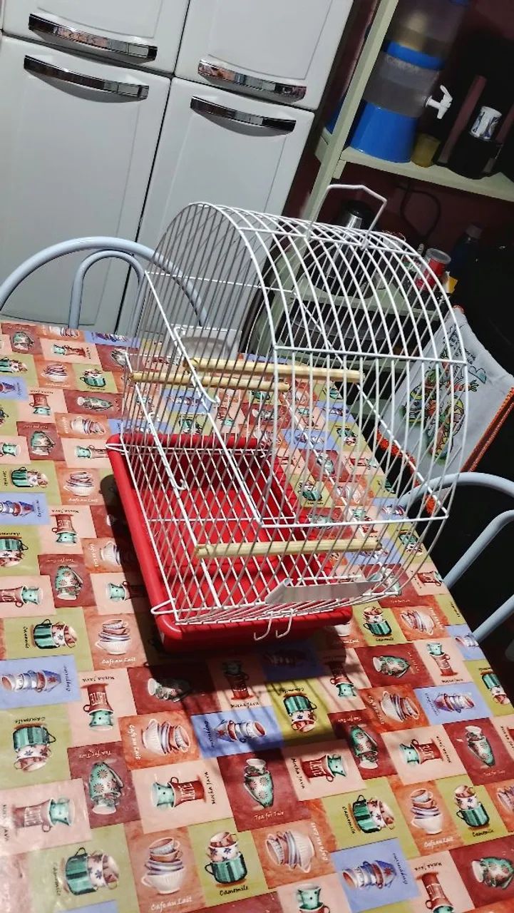Gaiola prática de manutenção e resistente 430187394640783361
