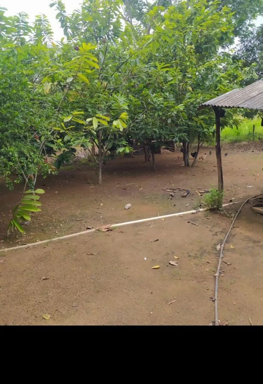 Terra de 5 alqueiros com 4 de capim formado  - Foto 5