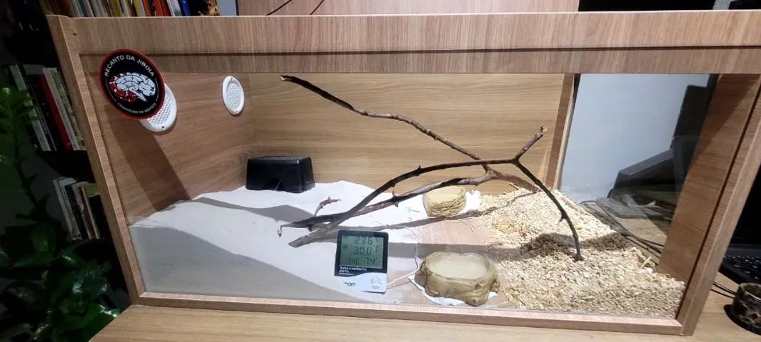 Terrário - Foto 4