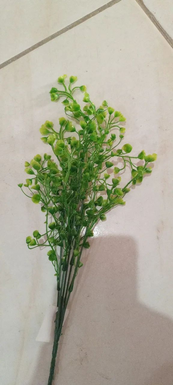 Plantas para aquário e decoração  - Foto 2