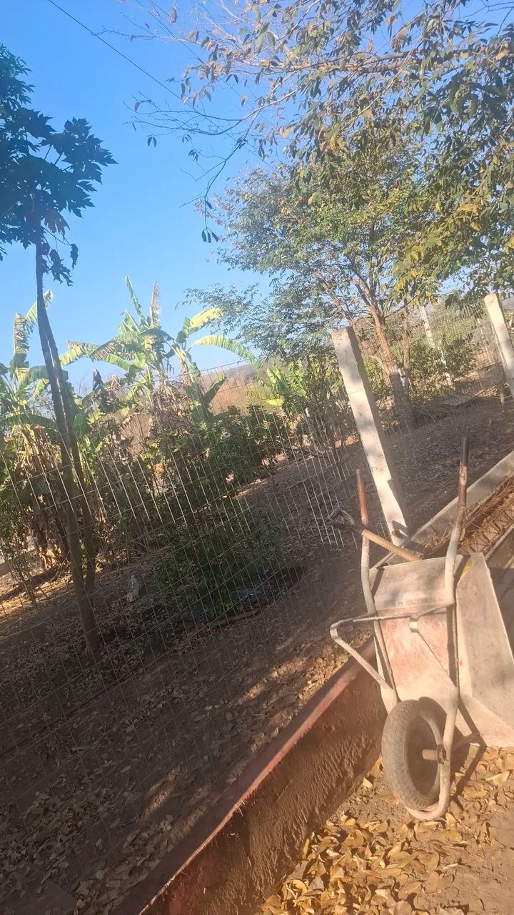 Chácara  - Foto 3