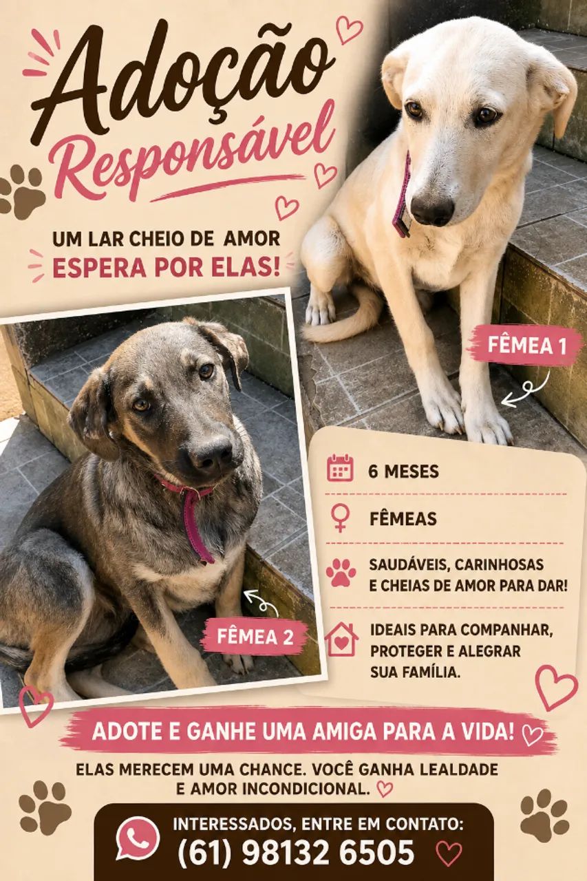 Adoção Responsável 