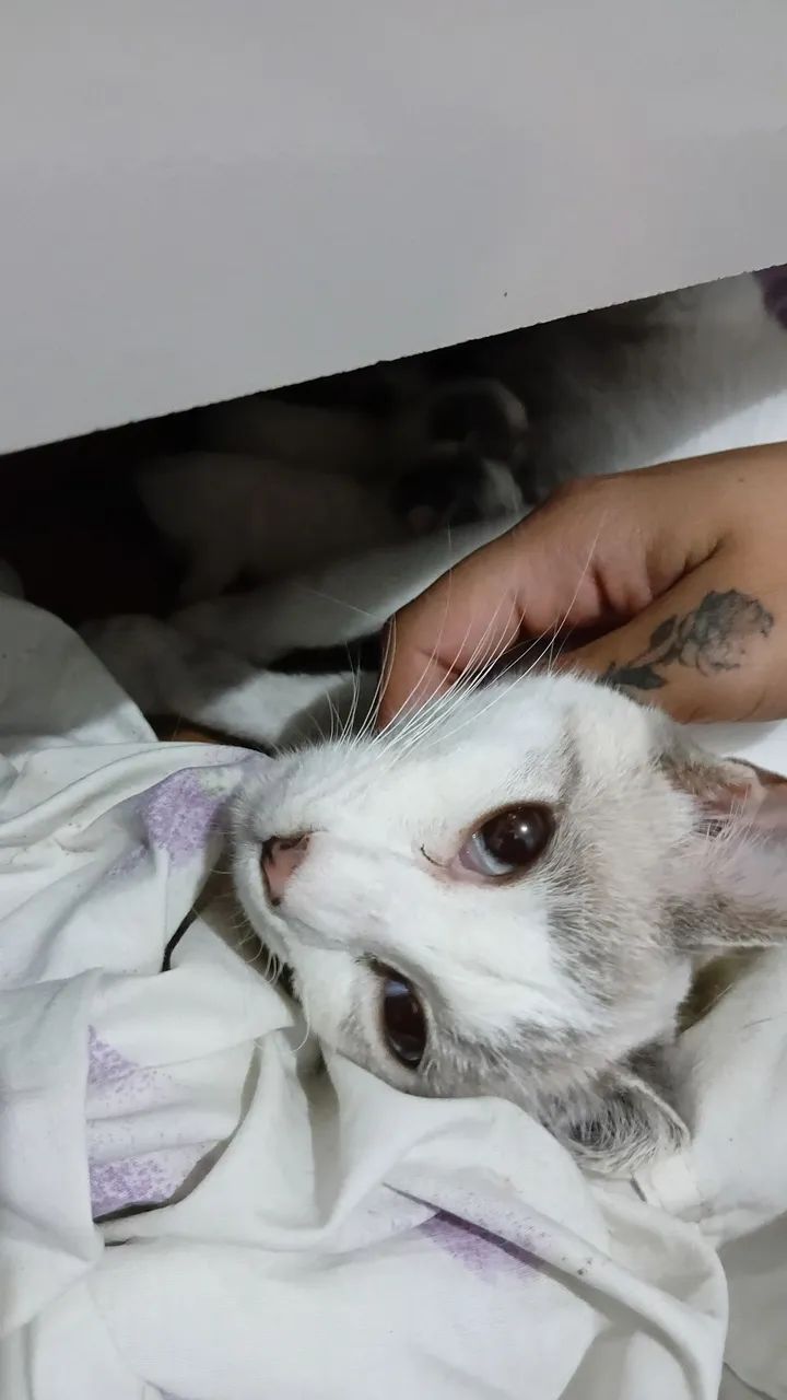 Help