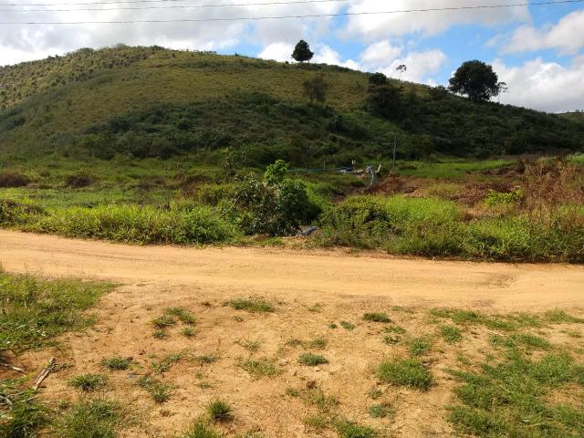 Fazenda com 180 Hectares a 8 km da Pista de Cortês-PE - Foto 20
