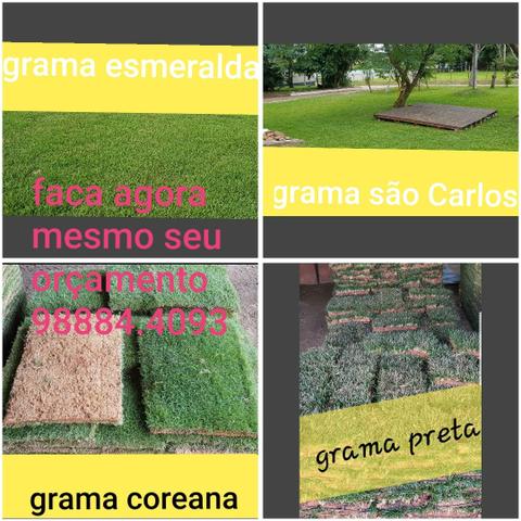 Terra aterra - Foto 3