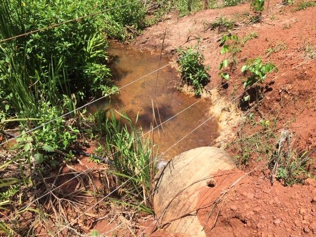 Fazenda com 5,5 Alqueires, Toda Formada, Pontalina Goiás, - Foto 16