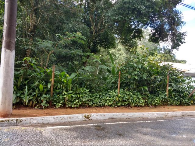 Lote 1.300m2 na Avenida Principal de Santa Isabel em Domingos Martins - Foto 4