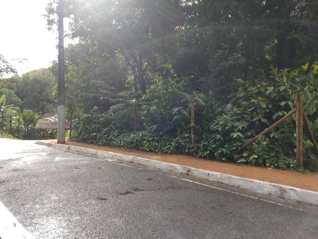 Lote 1.300m2 na Avenida Principal de Santa Isabel em Domingos Martins - Foto 6