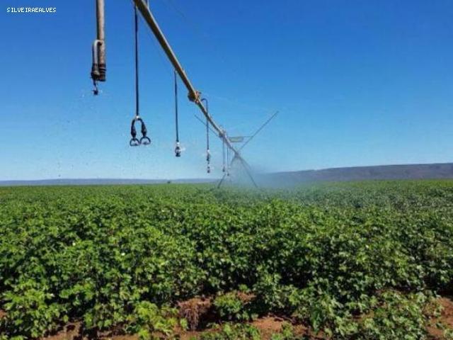 Fazenda para venda em muquém de são francisco, rural - Foto 2