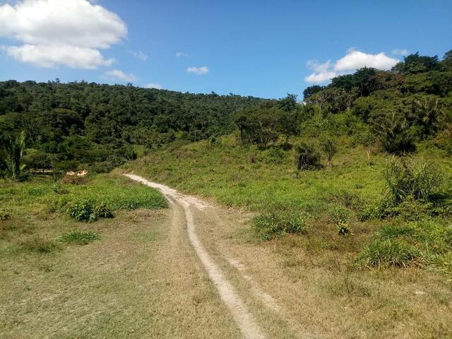 Vendo excelente fazenda / maranhão - Foto 2