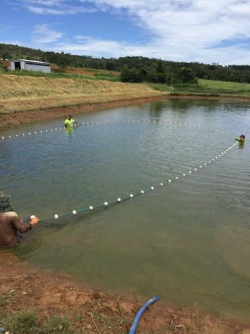 Sítio de 29 hectares com piscicultura formada em Alexânia-GO - Foto 20