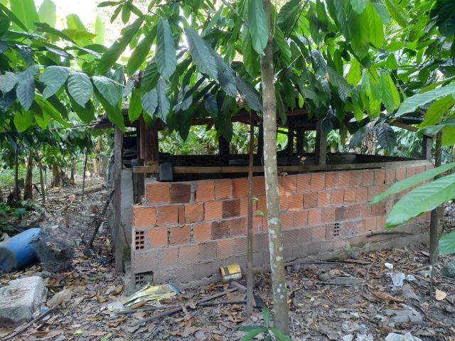 Sítio na Vila Temão - Jitaúna - Foto 12