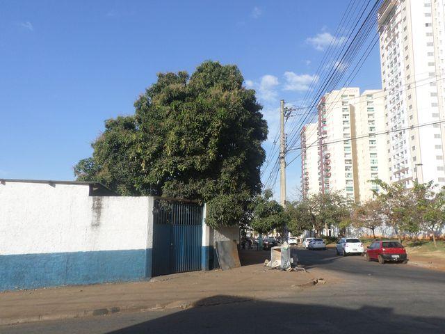Loteamento/condomínio para alugar em Parque oeste industrial, Goiania cod:1030-898 - Foto 3