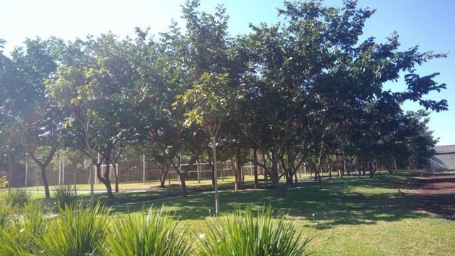 Terreno - Foto 5