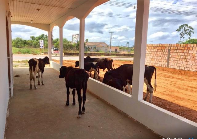 Casa a venda em autazes. r$ 120.000,00 - Foto 20