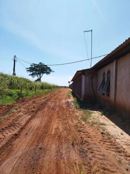 Sítio 10 alqueires Ângulo-pr com 2 barracões de frango - Foto 4
