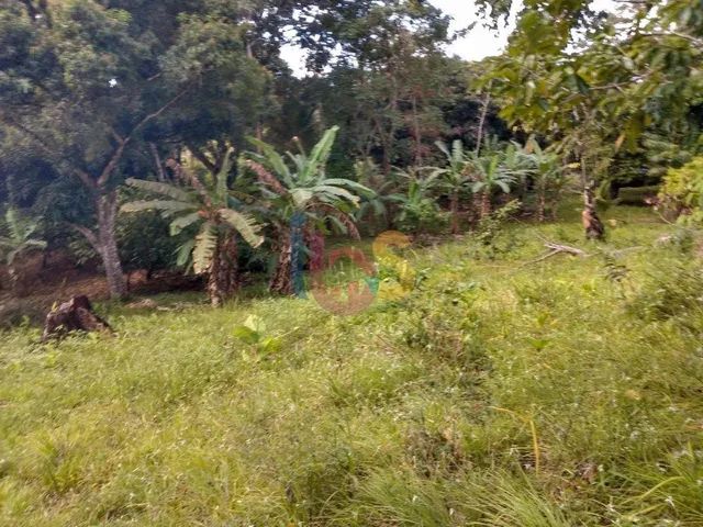 Terreno no Savóia - Foto 3