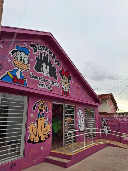 PETSHOP / BANHO E TOSA MONTADO NA SILVA JARDIM - Foto 2