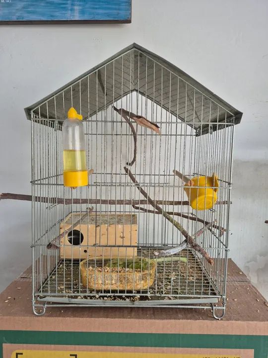 Gaiola para pássaros