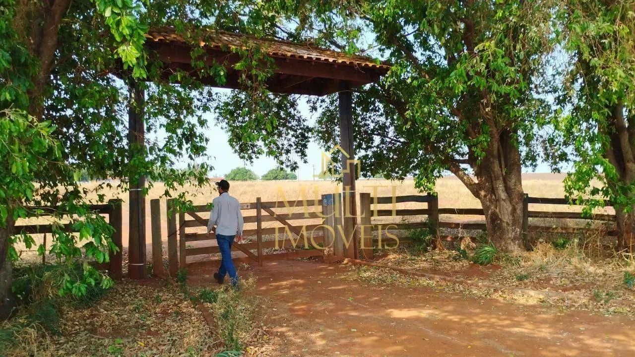 Fazenda à venda, 1742400 m² por R$ 18.000.000,00 - Zona Rural - Mesópolis/SP - Foto 4