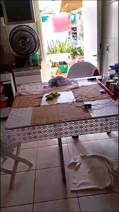 A casa ? do seus sonhos. - Foto 3