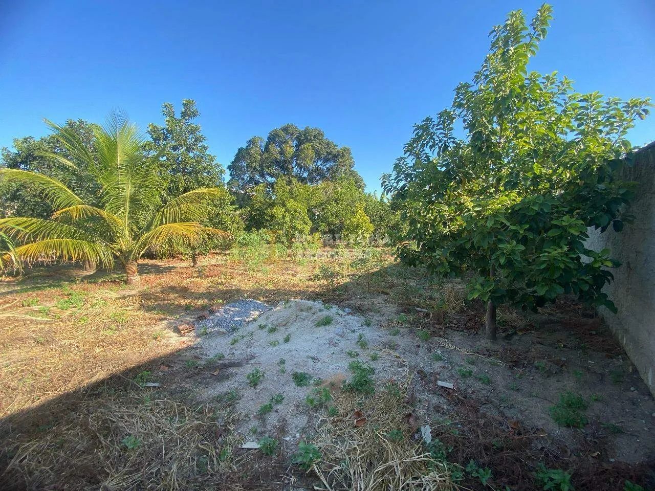 Terreno Amplo com Suíte e Varanda  900m² Murados e com Muito Verde - Foto 2