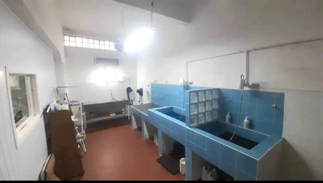 ponto comercial pet shop