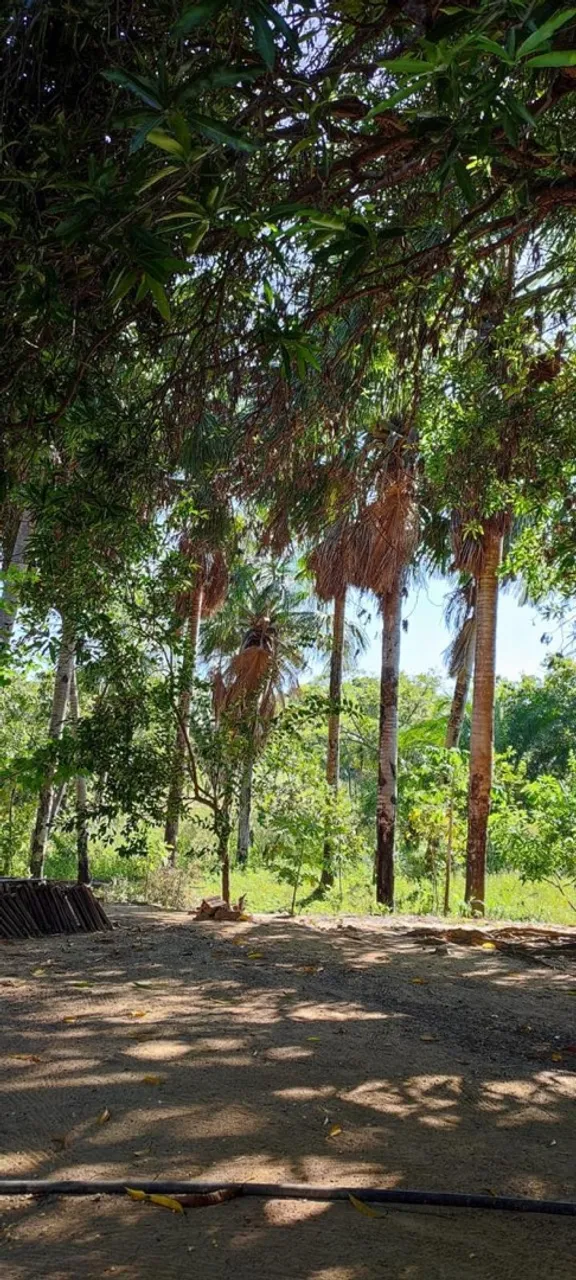 Lugar pra trabalhar 