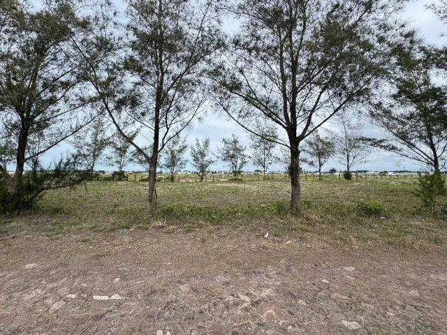 Terreno 300m² em Gaivotas/SC - Foto 5