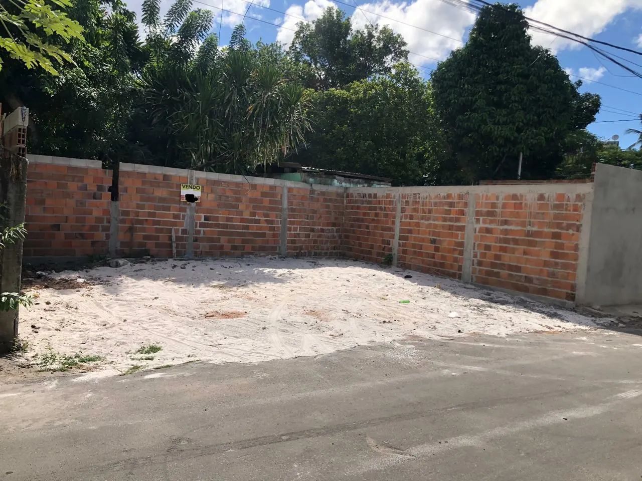 foto - Salvador - Jardim das Margaridas
