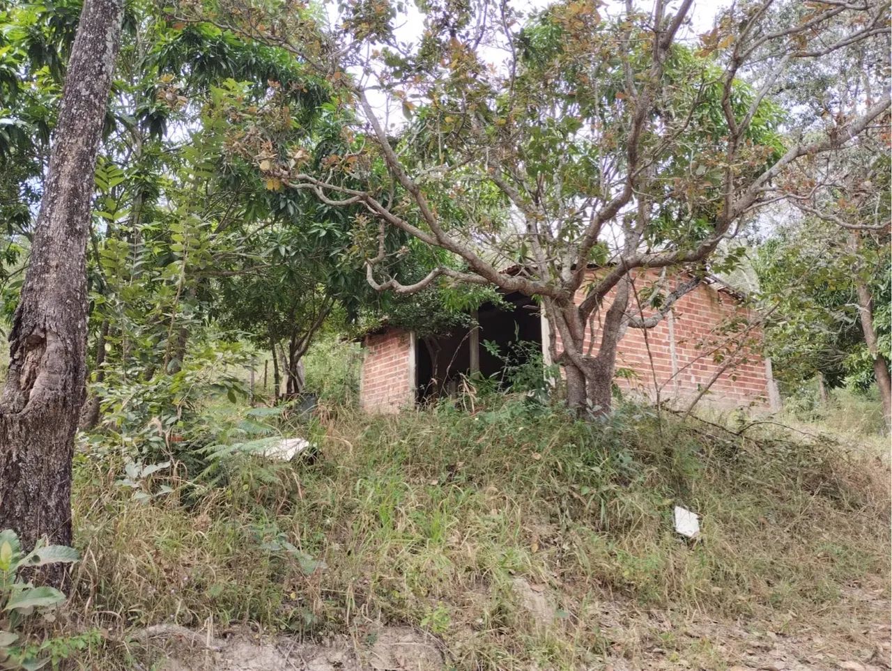 Chácara em Aragoiania 1 alqueire  - Foto 10