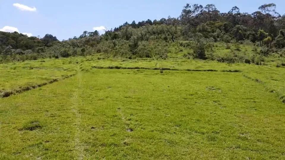 Exclusividade e Investimento Inteligente!  1000m² em Mairinque, pertinho de São Roque R$ 8 - Foto 3