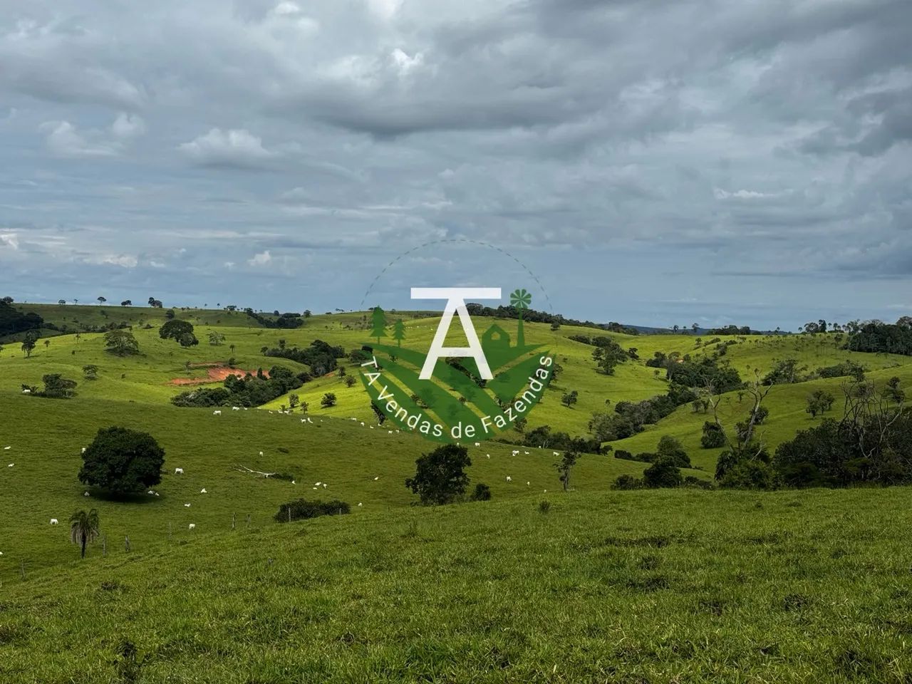 Fazenda de 192 alq em Ipameri-GO - Foto 3