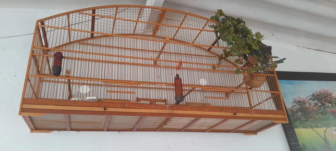 Voador malha fina - Foto 2